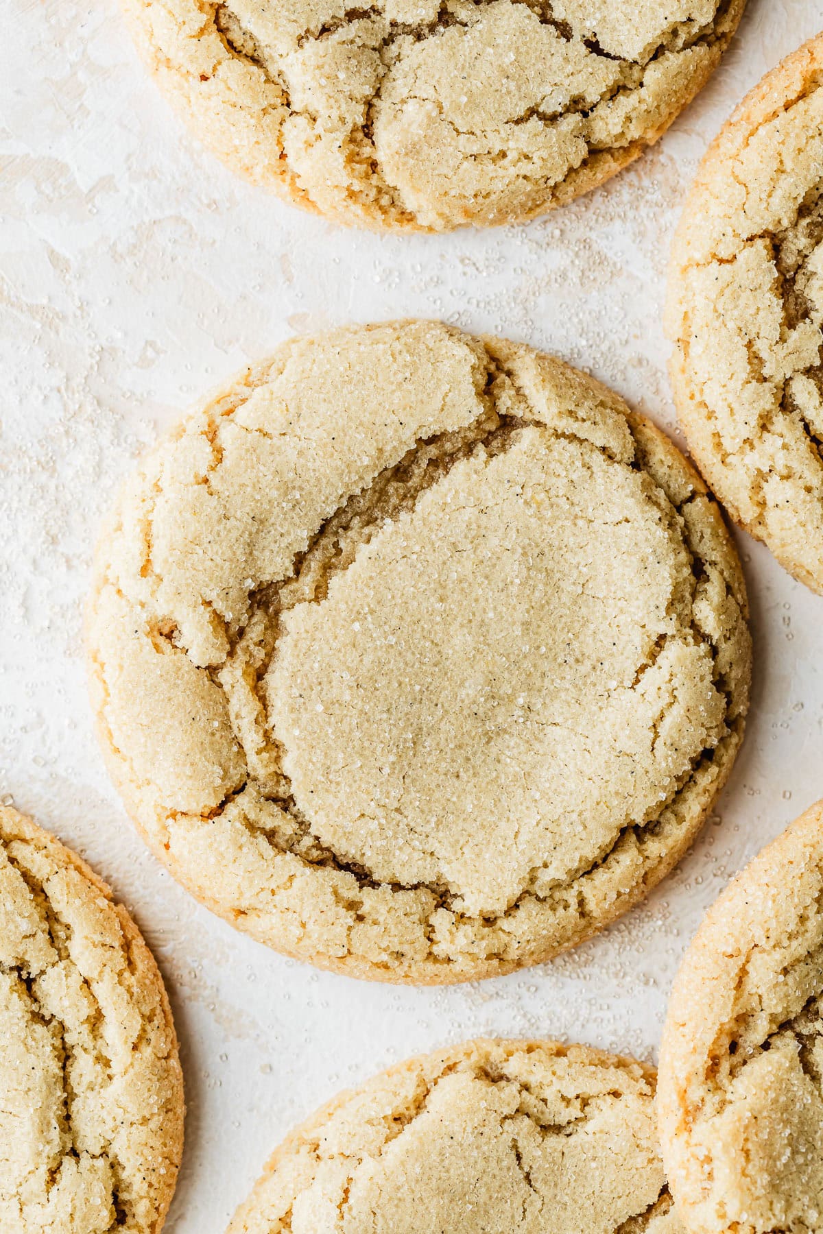 Rows of small batch sugar cookies on a tan counter.