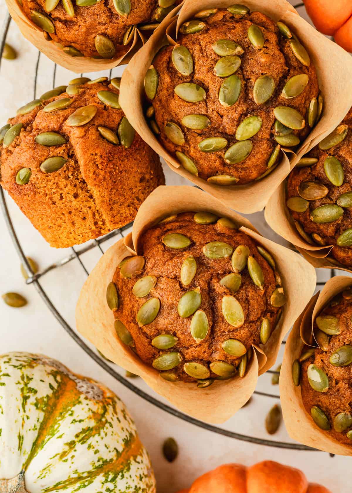 A wire rack of small batch pumpkin muffins on a tan counter next to pumpkins.