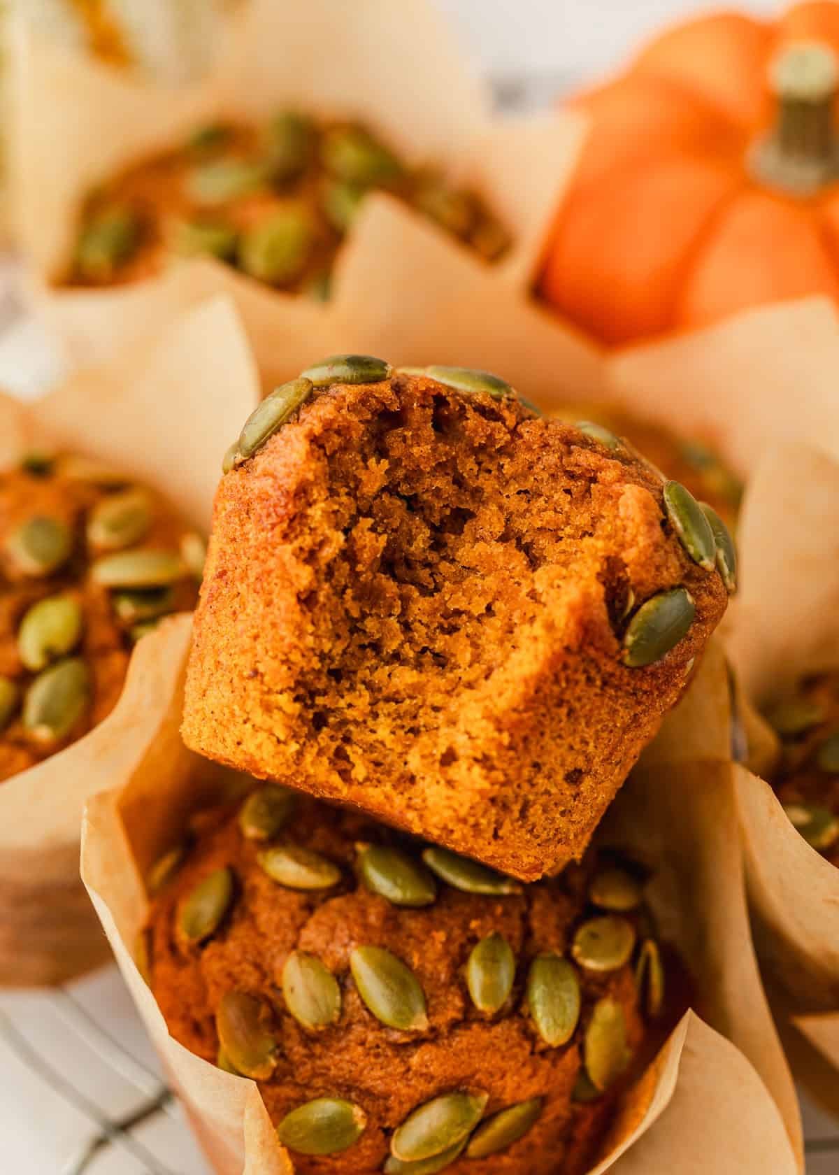 A muffin with a bite taken out of it on a pile of small batch pumpkin muffins next to a pumpkin.