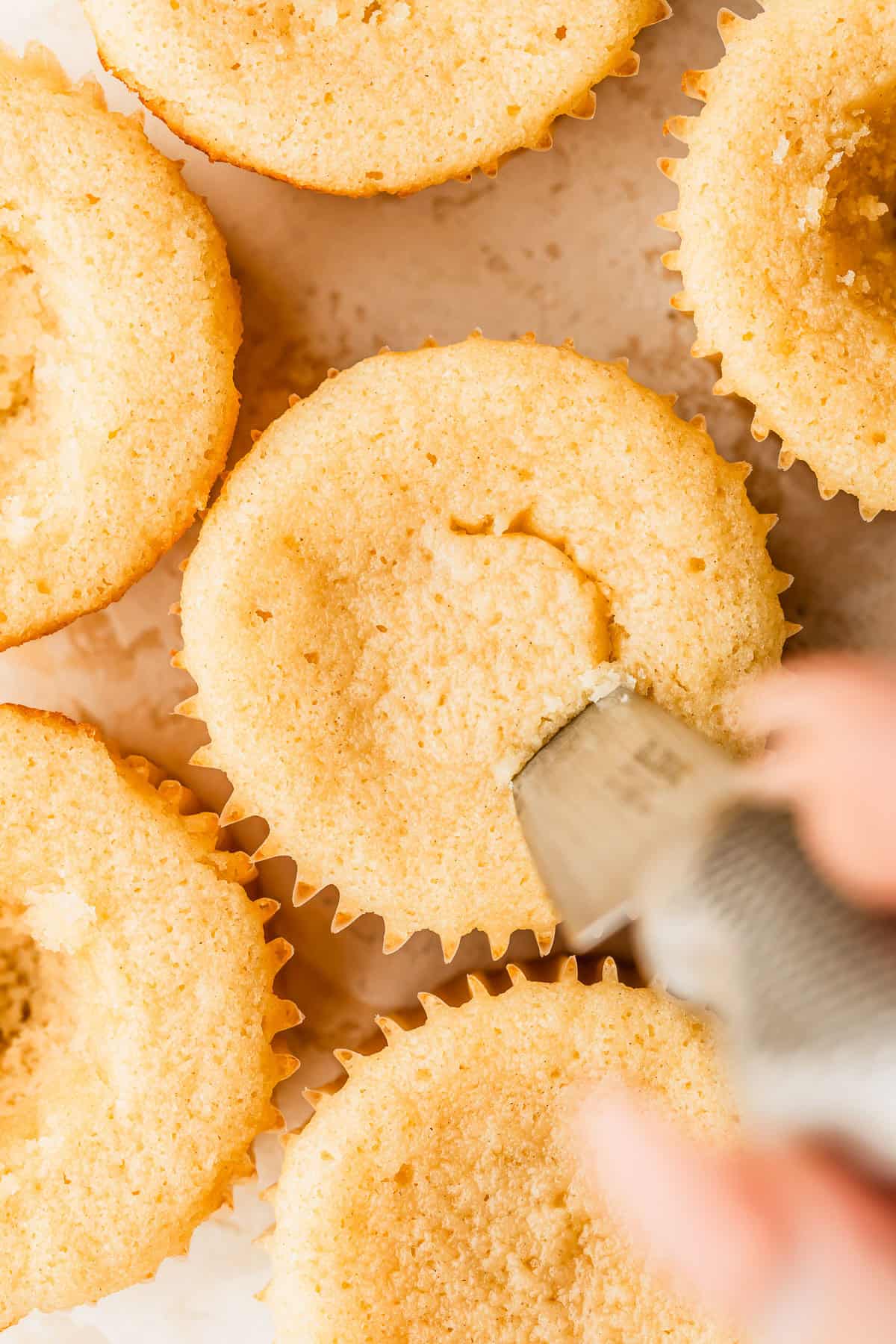 A hand using a knife to cut a hole in cupcakes.